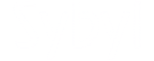 Partner 3