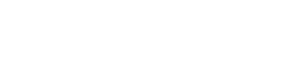 Partner 7