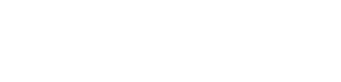Partner 9